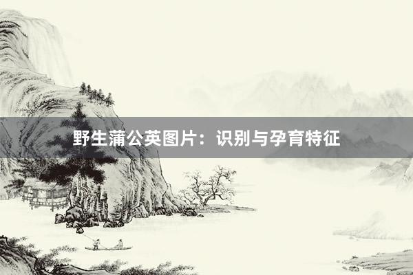 野生蒲公英图片：识别与孕育特征