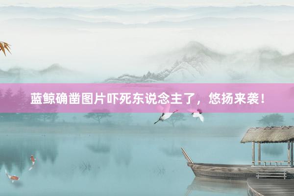 蓝鲸确凿图片吓死东说念主了，悠扬来袭！