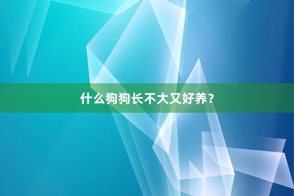 什么狗狗长不大又好养?